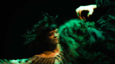 Accademia Teatro Dimitri - LCFF 2026: La Grinta